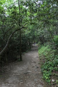 179780_617367230469_2126004003_n