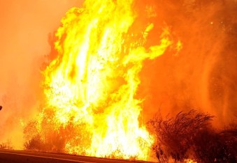 12002431_10153269130622893_1906596487092573299_o-2